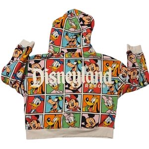 Disneyland‎ MICKEY AND FRIENDS Hoodie Sweatshirt Spirit Jersey Colorful Medium